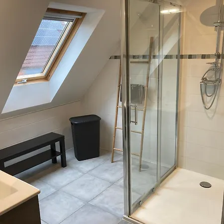 Appartement Les Mesanges Lohr